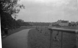 A path that I walk along